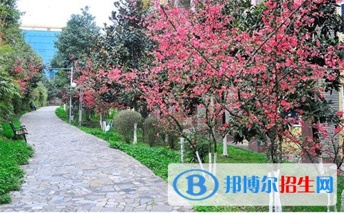 四川外國(guó)語(yǔ)大學(xué)成都學(xué)院中高職銜接部2022年怎么樣、好不好